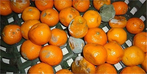 集裝箱貨物損壞后該怎么做？8