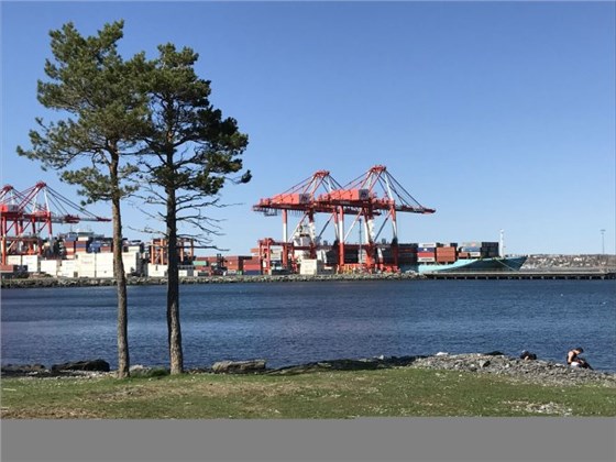 取消服務(wù)！集裝箱海運公司在跨大西洋航線引起轟動