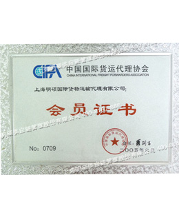 CIFA會員證書