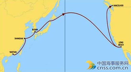 MSC：Maple航線增掛溫哥華港