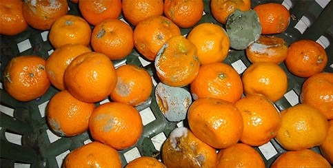 集裝箱貨物損壞后該怎么做？8